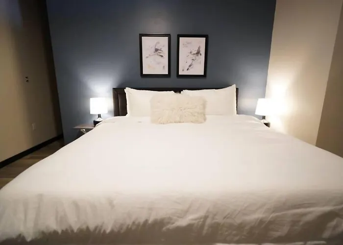 3e *new* Huge! Spacious 3 Bedroom In Oakland That Sleeps 12! Apartment Pittsburgh